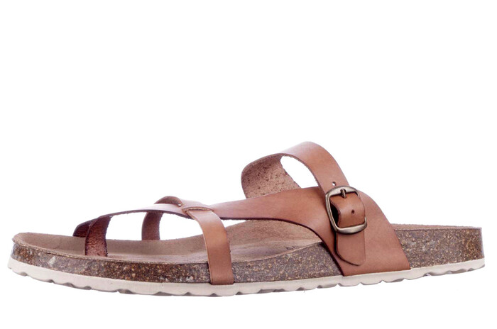 6186706-30 Cosmos cognac afbeelding