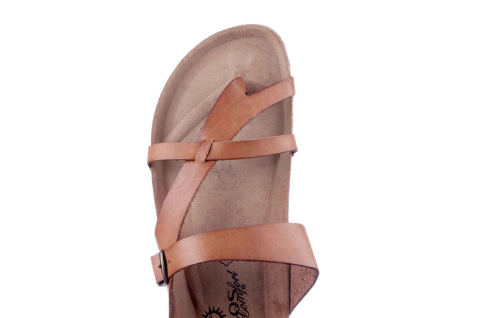 6186706-30 Cosmos cognac afbeelding
