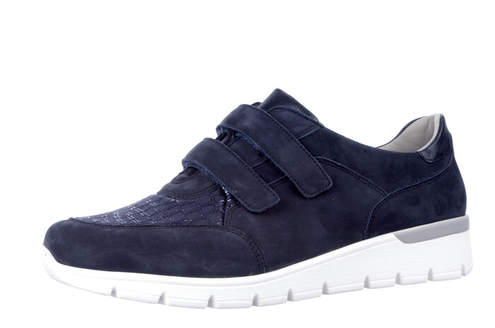 626K31 K Waldaufer blauw afbeelding