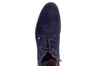 Berkelmans blauw Silesia 252007601 thumbnail