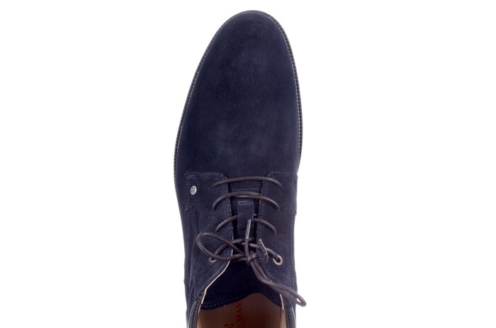 Berkelmans blauw Silesia 252007601 afbeelding