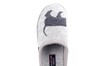 Haflinger lichtgrijs 313021  thumbnail