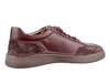 Seibel bruin Cleve 07 13607 thumbnail