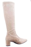 PieSanto camel 255275 thumbnail