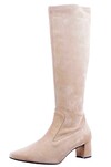 PieSanto camel 255275 thumbnail