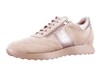 PieSanto camel 255756 H thumbnail