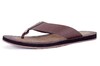 WILD DUNES TIMBERLAND BRUIN thumbnail