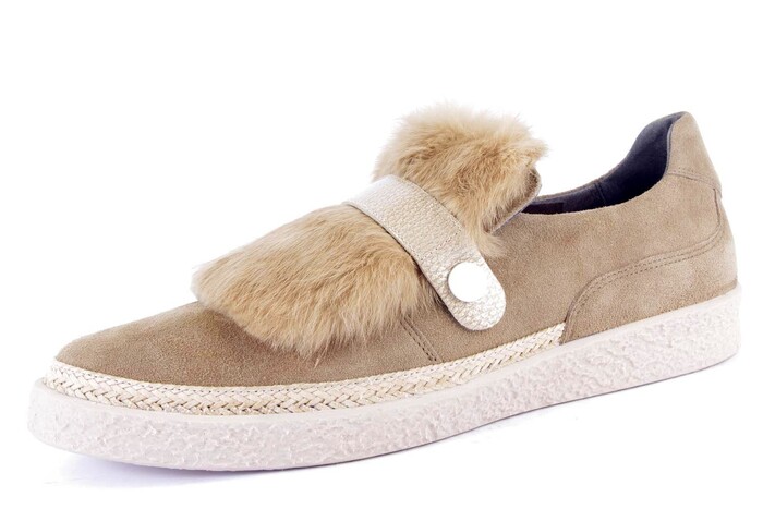 7.01.16 SOFTWAVES CAMEL afbeelding