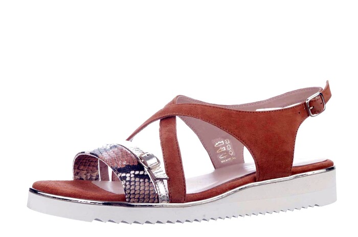 7.42.26 SOFTWAVES COGNAC afbeelding