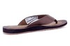 WILD DUNES TIMBERLAND BRUIN thumbnail