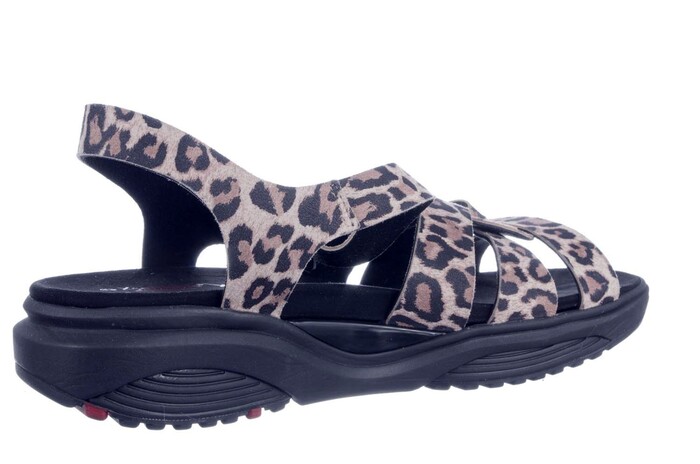 RHODOS XSENSIBLE BEIGE PANTER afbeelding