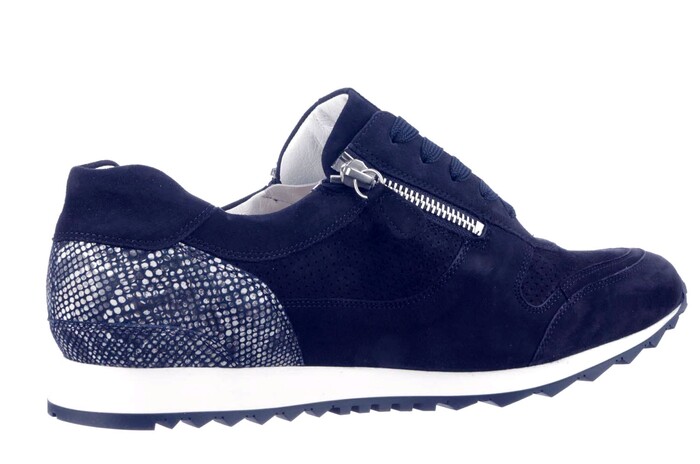 301917 HASSIA BLAUW. afbeelding
