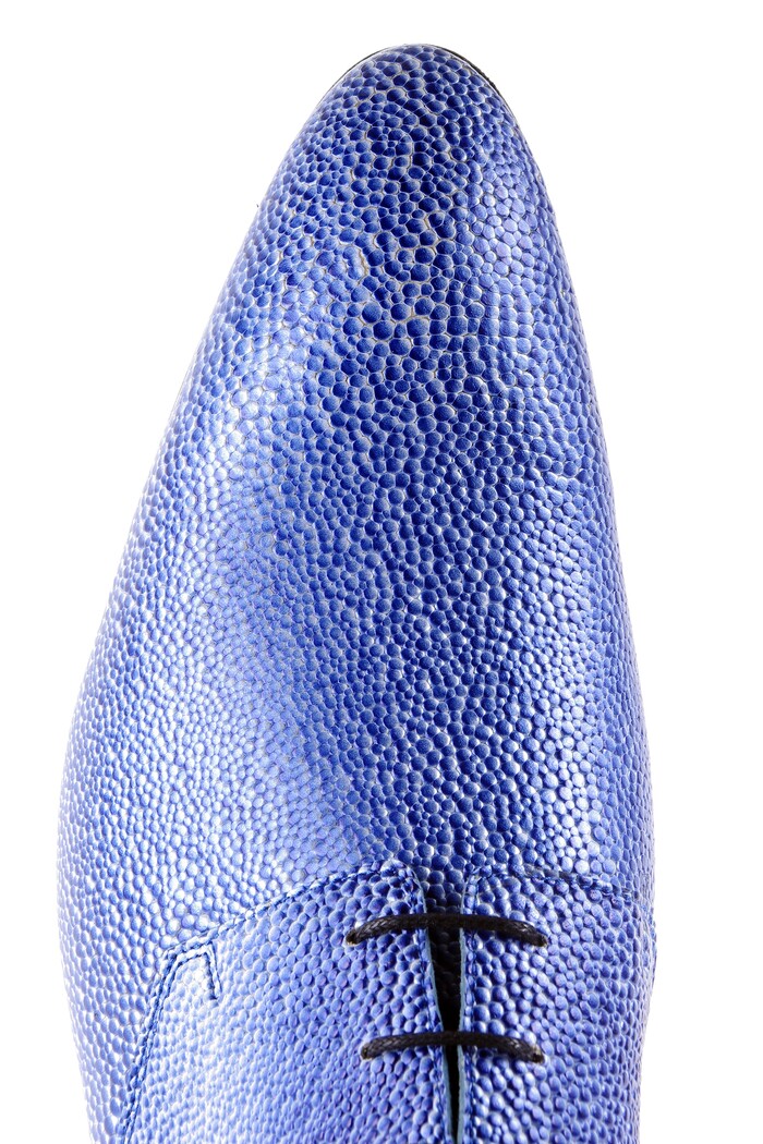 CERULEAN SPLURGE MASCOLORI afbeelding