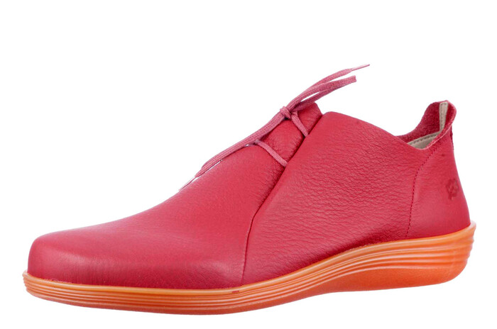 79131 loints rood afbeelding