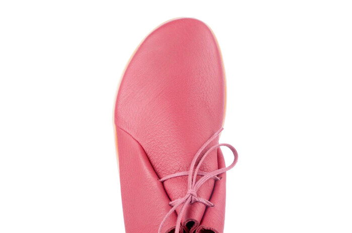 79131 loints rood afbeelding
