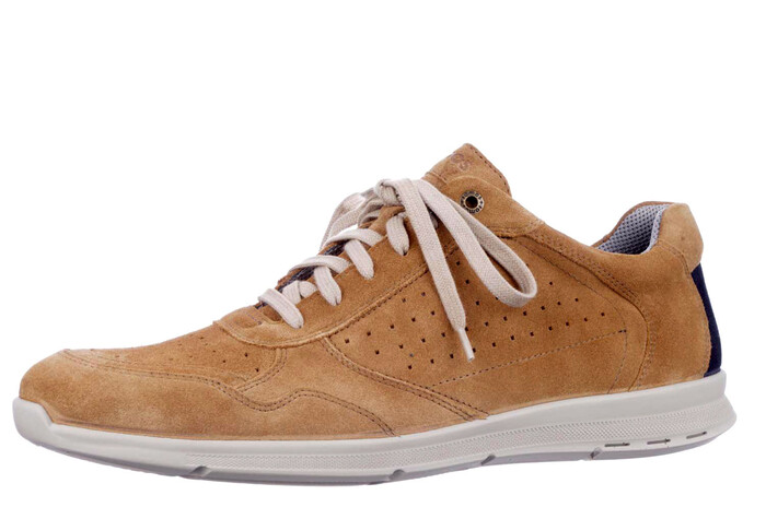 324325 H Jomos camel afbeelding