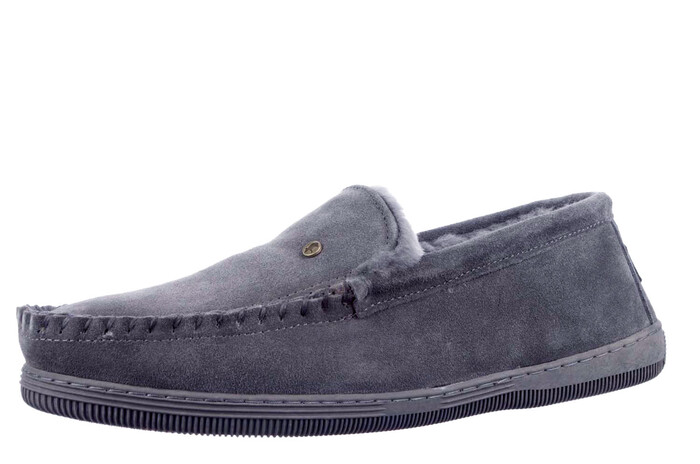 Grizzly Warmbat grijs afbeelding