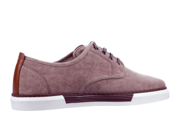 24238951 Camel bruin afbeelding