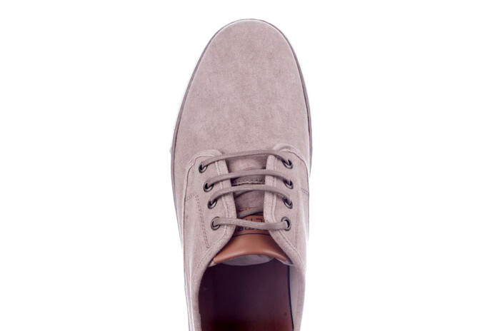 24238951 Camel bruin afbeelding