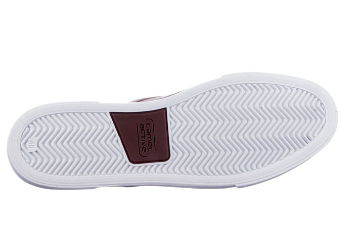 24238951 Camel bruin afbeelding
