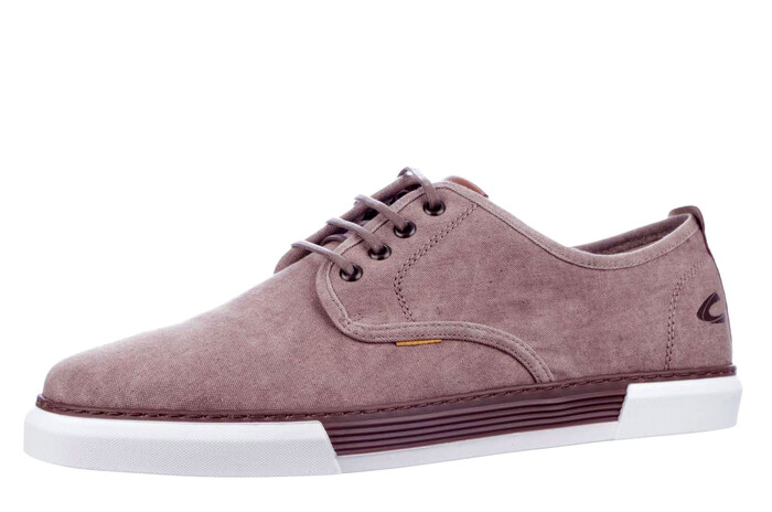 24238951 Camel bruin afbeelding