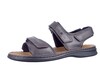 10104 Seibel bruin thumbnail