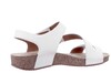 78519 43 800 Seibel wit thumbnail