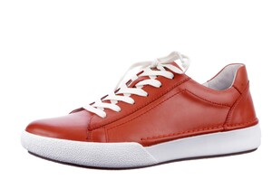69901 133 840 Seibel oranje