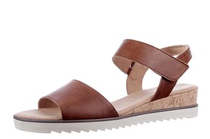 22.750.53 Gabor camel