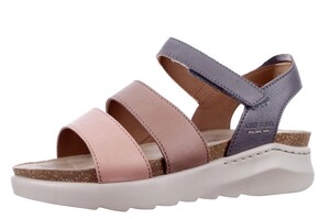 73406 Seibel roze multi