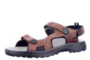 Jomos cognac 508609 H