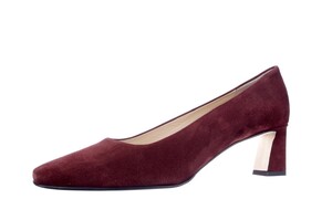 Brunate bruin 51376