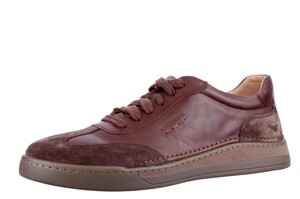 Seibel bruin Cleve 07 13607