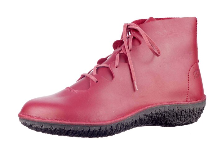37961 LOINTS ROOD afbeelding