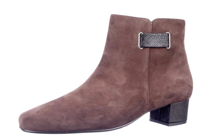 303385 J HASSIA BRUIN afbeelding