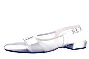 41.300.055 DC ZILVER