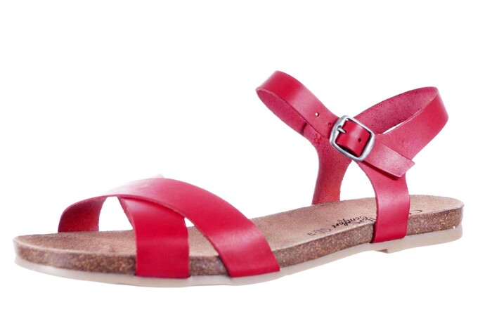 6106-802 COSMOS ROOD afbeelding
