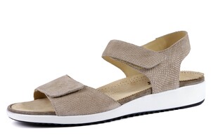 7353 E  DUREA BEIGE