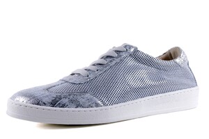 33..434.255 DC WITZILVER