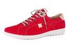 82062 HARTJES ROOD thumbnail