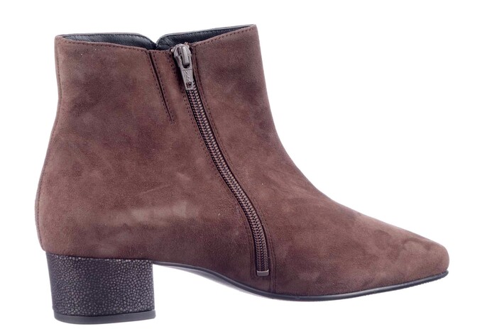 303385 J HASSIA BRUIN afbeelding