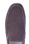 27658 SIOUX BRUIN thumbnail