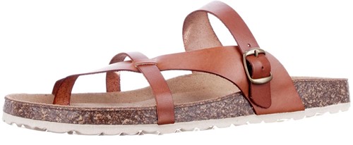 Cosmos 6186706 301 slipper bruin