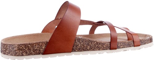 Cosmos 6186706 301 slipper bruin-2