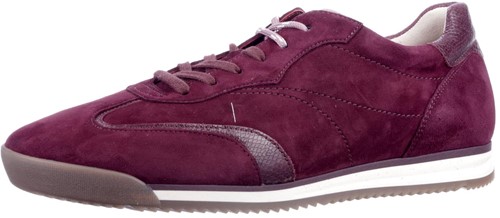 Gabor 6025.02.002 G sneaker rood