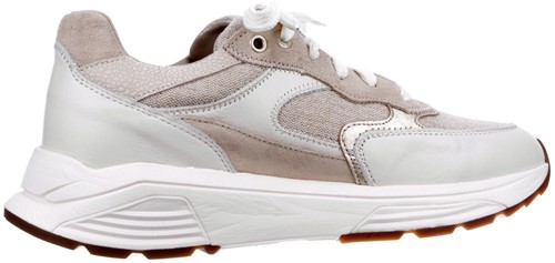 Xsensible 33002.5 157 G Ponte Vecchio 157 sneaker beige-2